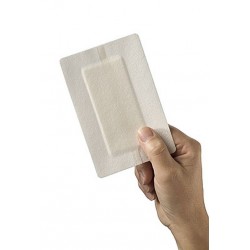 Eilandpleister 10x15cm (25 stuks)